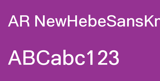 AR NewHebeSansKm BD