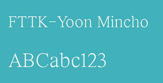 FTTK-Yoon Mincho