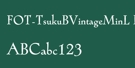 FOT-TsukuBVintageMinL Pro