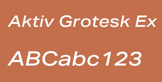 Aktiv Grotesk Ex