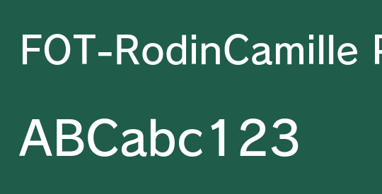 FOT-RodinCamille Pro