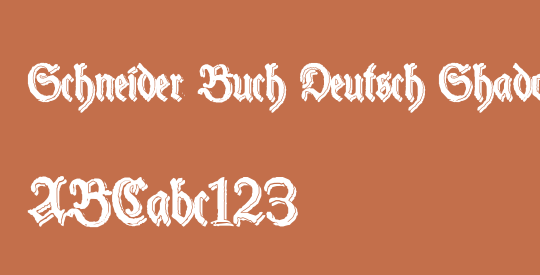 Schneider Buch Deutsch Shadow Two