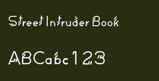 Street Intruder Book