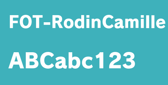 FOT-RodinCamille Pro