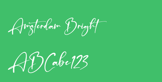 Amsterdam Bright
