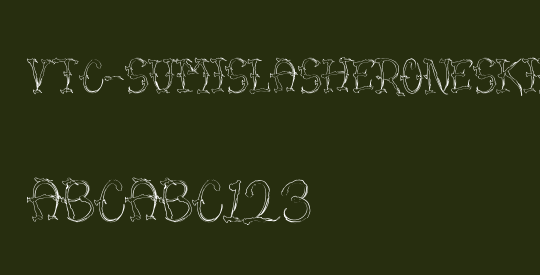 VTC-SumiSlasherOneSkinned