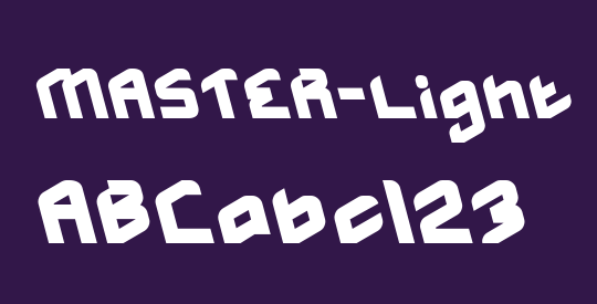 MASTER-Light