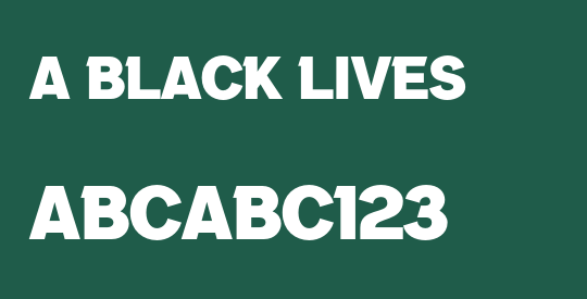 a Black Lives