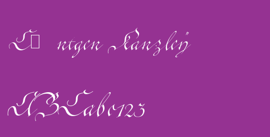 Cˆntgen Kanzley