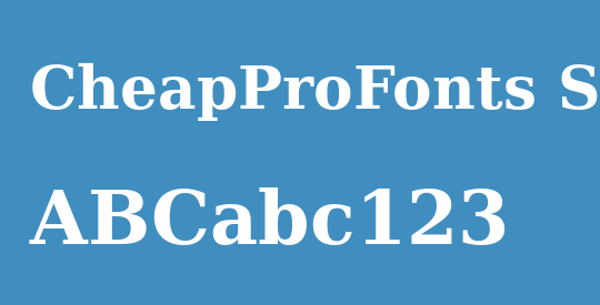 CheapProFonts Serif Pro