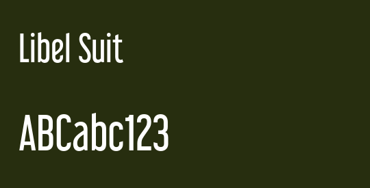 Libel Suit