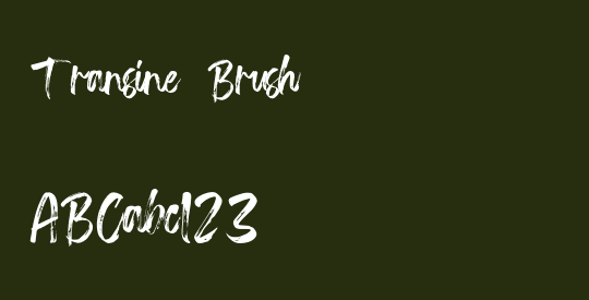 Transine  Brush
