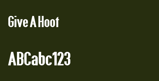 Give A Hoot