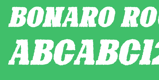 Bonaro Rough Italic Demo