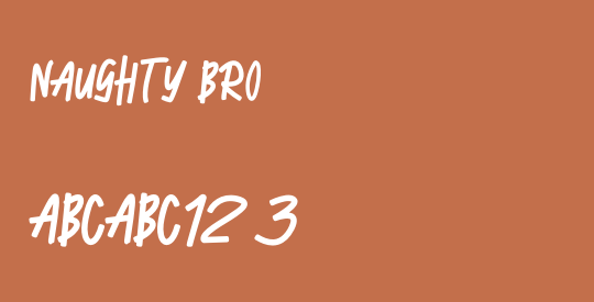 NAUGHTY BRO