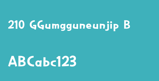 210 GGumgguneunjip B