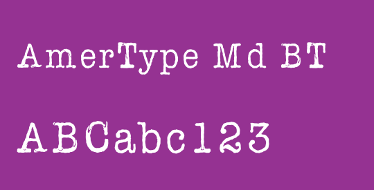 AmerType Md BT