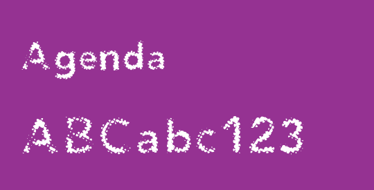 Agenda