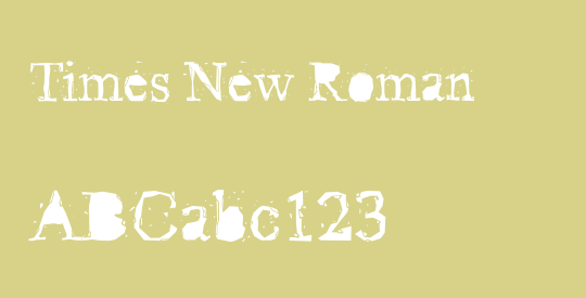 Times New Roman