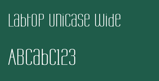 Labtop Unicase Wide