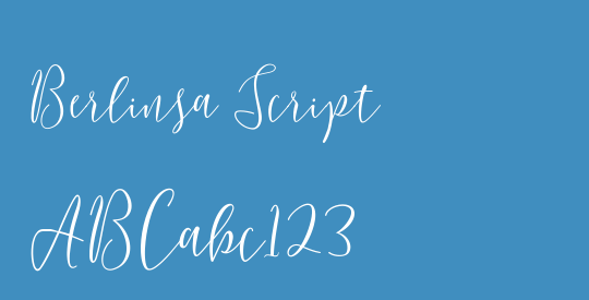 Berlinsa Script