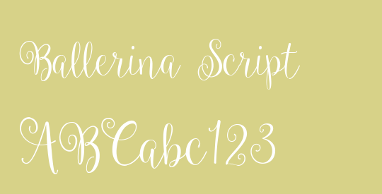 Ballerina Script