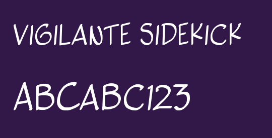 vigilante sidekick