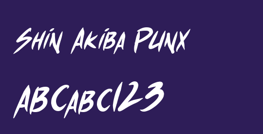 Shin Akiba Punx