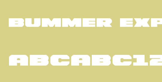 Bummer Expanded