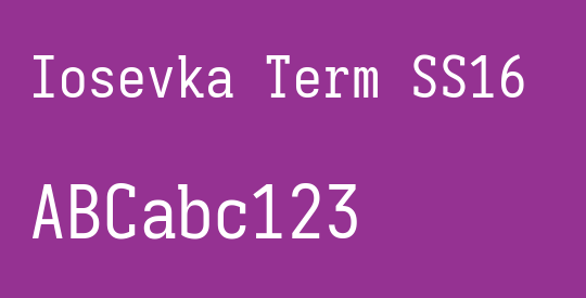 Iosevka Term SS16