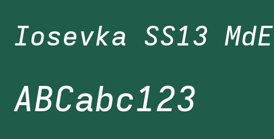 Iosevka SS13 MdExObl