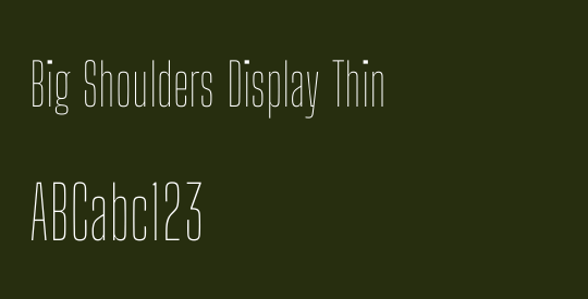 Big Shoulders Display Thin