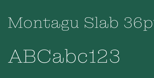 Montagu Slab 36pt Thin