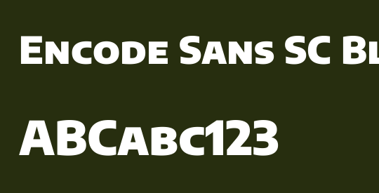 Encode Sans SC Black