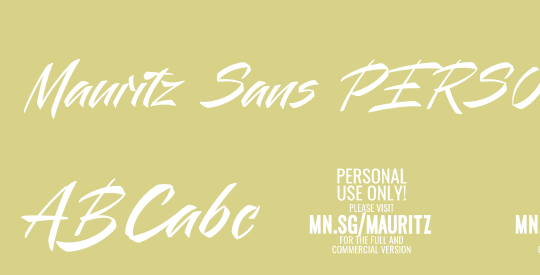 Mauritz Sans PERSONAL USE Light It