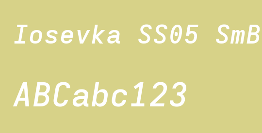 Iosevka SS05 SmBdExObl