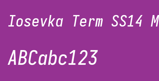 Iosevka Term SS14 Medium
