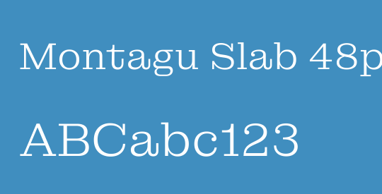 Montagu Slab 48pt Light