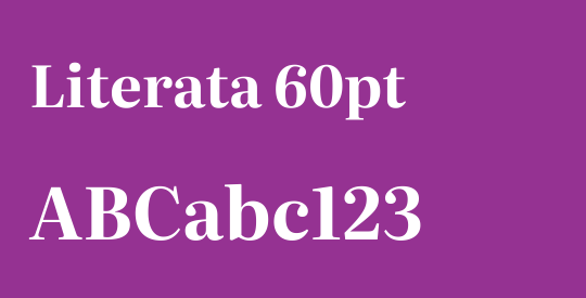 Literata 60pt