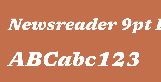 Newsreader 9pt ExtraBold
