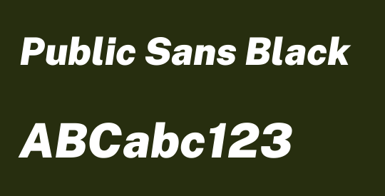 Public Sans Black
