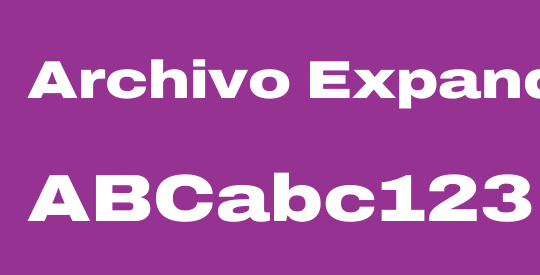Archivo Expanded Black