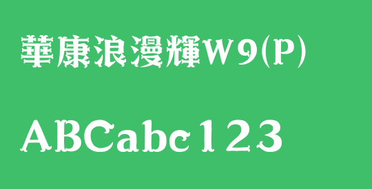 華康浪漫輝W9(P)