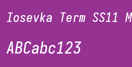 Iosevka Term SS11 MdObl
