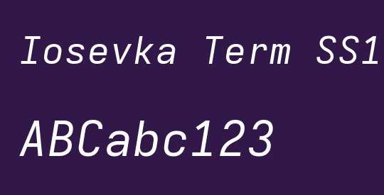 Iosevka Term SS10 ExObl