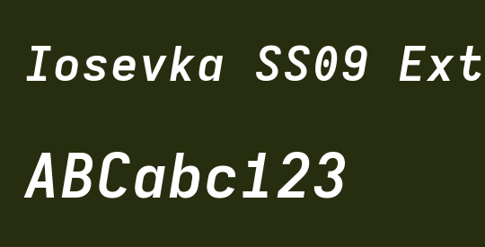 Iosevka SS09 Extended