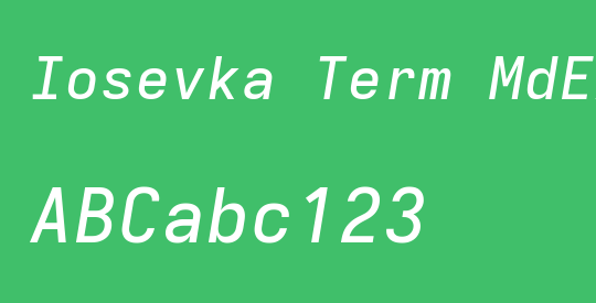 Iosevka Term MdExObl