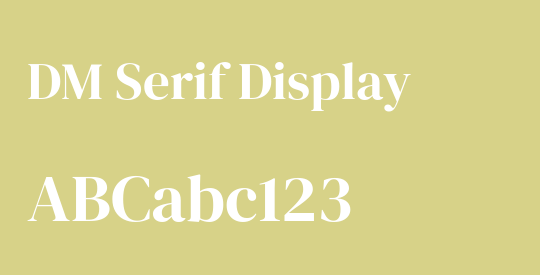 DM Serif Display