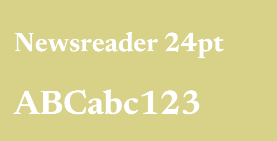 Newsreader 24pt