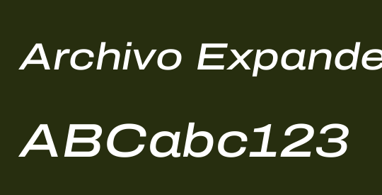 Archivo Expanded Medium